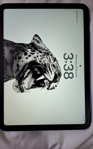 iPad 10 Gen (Usado)