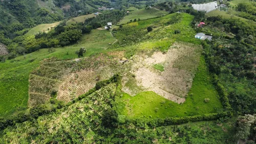 Venta De Finca De 21 Cuadras Cerca De Arabia