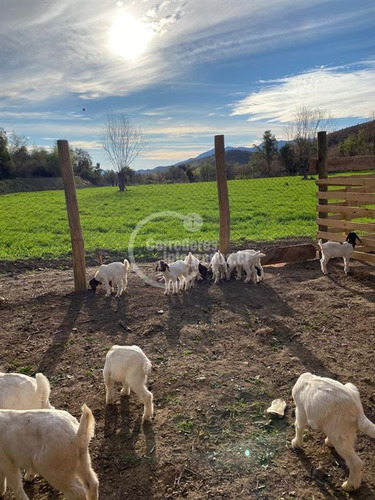 Agrícola En Venta En Combarbalá