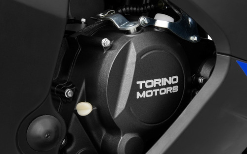 Imagen 4 de 7 de Moto Torino Hurricane 250 23