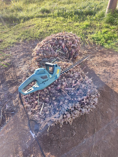 2882930731