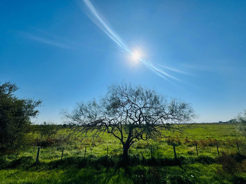 Terreno , Lote , Quinta , Descanso,chacra ,campo ,dueño