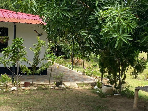 Imagen 22 de 30 de Agua De Dios - Finca De Produccion En Venta