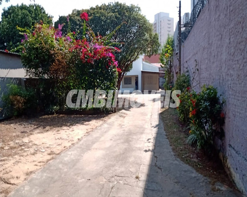 Imagem 5 de 18 de Casa À Venda 3 Dormitórios Na Vila Joaquim Inácio Em Campinas - Ca06291 - Ca06291 - 69782605