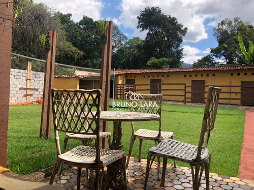 Imagem 19 de 30 de Sítio À Venda Em Igarapé Bairro Ouro Verde. - Si0087