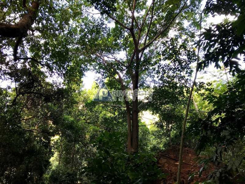 Imagem 13 de 17 de Terreno No Cosme Velho - 12131
