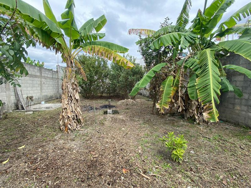 Venta Terreno 190 M² Col. Ampliacion Obrera Tuxpan Veracruz