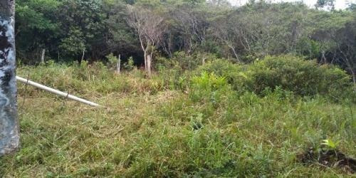 Imagem 9 de 14 de Casa Em Itanhaém Lado Serra 300 Metros Da Rodovia 6 Vagas.
