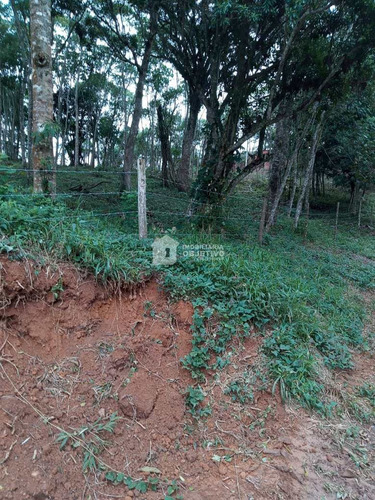 Imagem 17 de 25 de Terreno, Dos Neves (caucaia Do Alto), Cotia - R$ 75 Mil, Cod: 4255 - V4255