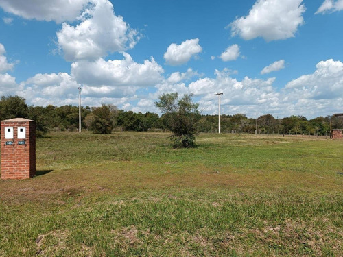 Lote En Santa Cecilia