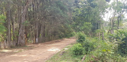Imagem 4 de 6 de Chácara Para Venda Em Ponta Grossa, Colonia Dona Luiza - 144_2-1102965