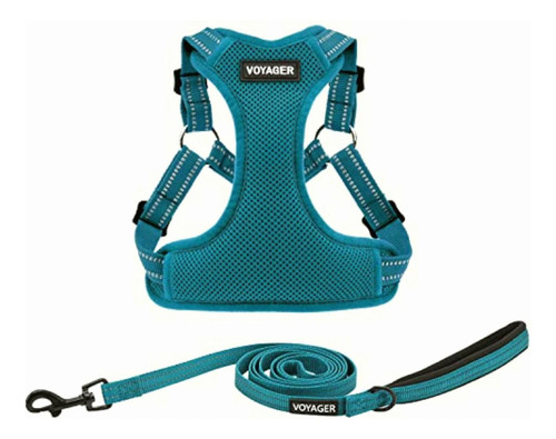 Best Pet Supplies Voyager Step-in Flex Dog Harness And