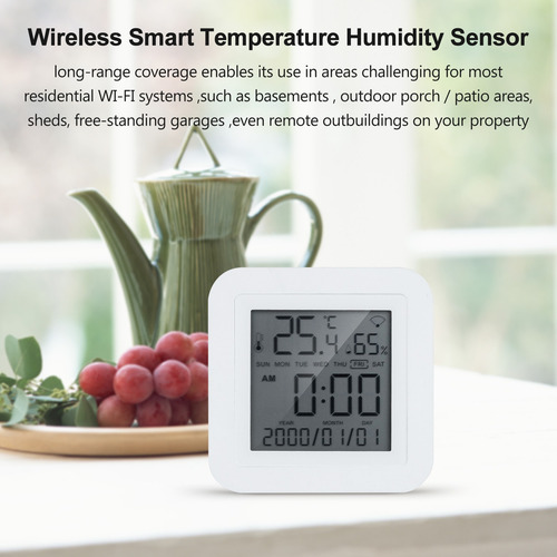 Thermo-hygrometer & Wifi Thermo-hygrometer Hygrometer