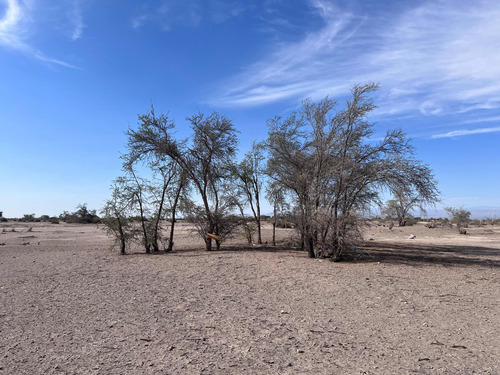 Gran Oportunidad De Inversión,parcelas En Venta En Latirana