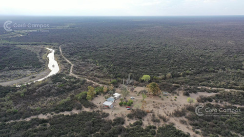 Se Vende Campo Ganadero De 3500 Ha En Mendoza, Argentina