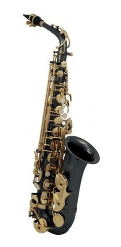 Saxofon Alto Roy Benson Antracita As-202k 