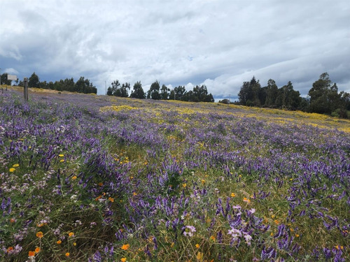 Vende Terreno En Puchuncaví Cercano A Maitencillo