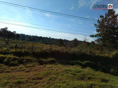 Imagem 7 de 15 de Área À Venda, 68821 M² Por R$ 9.800.000,00 - Planta Boros - Colombo/pr - Ar0003