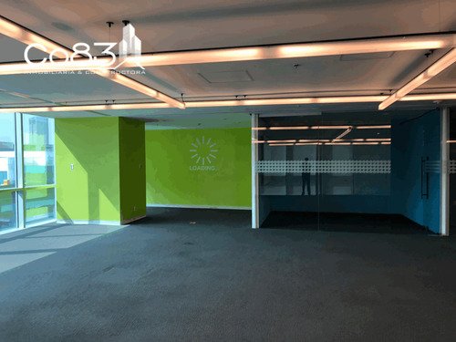 Renta - Oficina - Torre Esmeralda Iii - 317 M2 - Piso 4