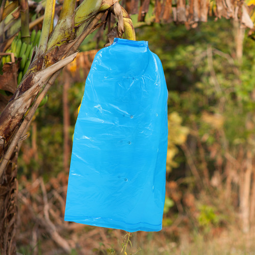 Saco De Amadurecimento De Banana Banana Grow Bag Mesh 5 Unid