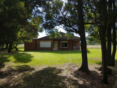 Campo En Venta En Punta Indio-99 Has Sobre Ruta