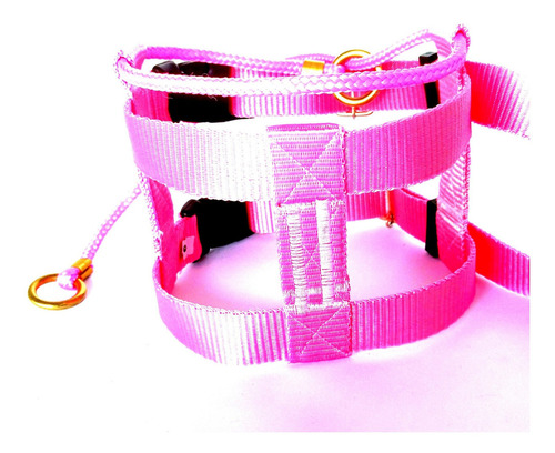 Collar Illusion Model