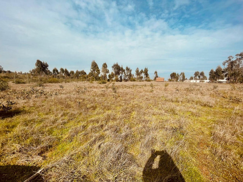 Terreno En Condominio Loma Verde, Algarrobo