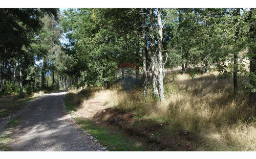 Plot Villarrica / Pedregoso Safe Investment