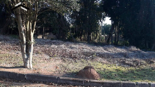 Imagem 14 de 15 de Excelente Terreno Em Condomínio Fechado Em Caucaia Do Alto - Cotia - 292
