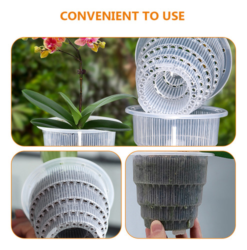 Maceta Para Orquídeas Con Orificio Transpirable, Flor De Plá