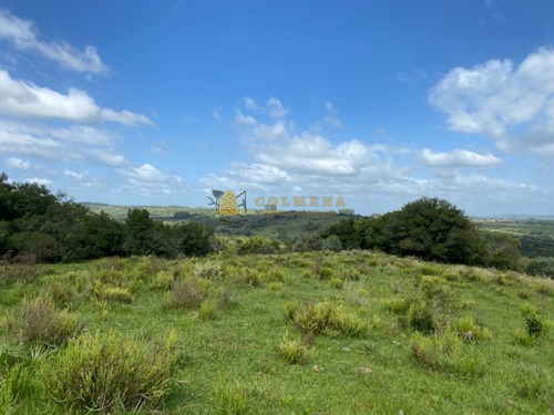 7 Chacras De 5 Has Cada Una A 20 Km De Aigua Por Ruta 39 - Consulte !!!!!- Ref: 4327