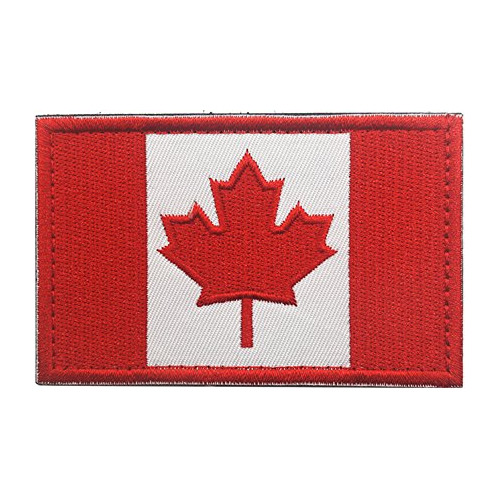 Conjunto Bordado Con Diseño De Hoja De Arce De Canadá Con Di