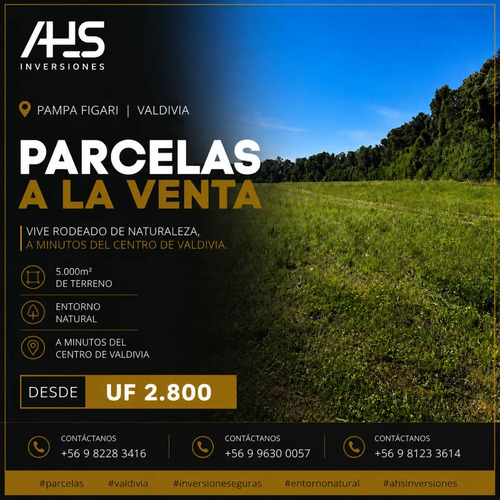 Pampa Figari Valdivia Parcelas 5.000 M² Desde Uf 2.850