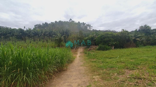 Imagem 12 de 30 de Lindo Sítio À Venda No Bairro São Luiz Em Apiúna Sc!! - Ru00003 - 69368760