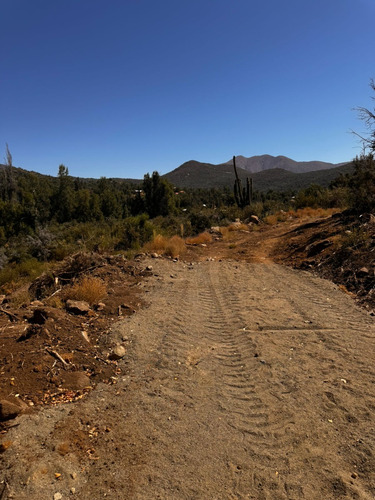 Parcelas Desde 6.000 M2 En El Valle De Caleu Luz Y Agua Real