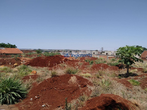 Imagem 6 de 6 de Terreno Para Alugar, 1350 M² - Columbia - Londrina/pr - Te0484