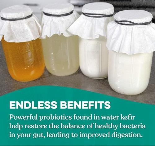 Cultivo De Kefir 4 Paquetes De Polvo De De Inicio Liofilizad