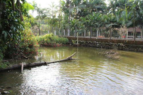 Imagem 4 de 27 de Chácara Em Pirabeiraba | 1 Suíte Master + 02 Dormitórios | Piscina | Edicula Com Área De Festas - Sa02334 - 71007661