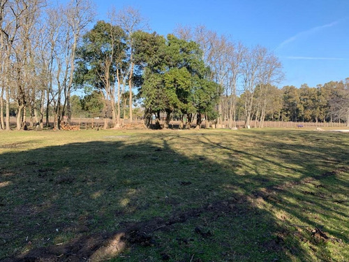 Imagen 18 de 24 de Venta/permuta- Hermosa Parcela De 8500 Mts