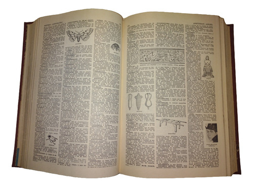 Enciclopedia Ilustrada De La Lengua Castellana 5 Tomos (Usado)
