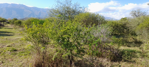 Lote, Terreno En Traslasierra, Córdoba. Los Pozos