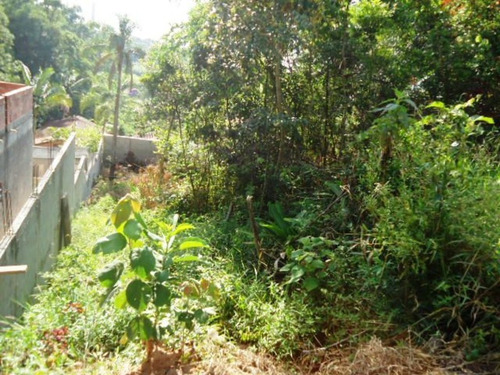 Imagem 5 de 13 de Terrenos A Venda No Parque Terceiro Lago - 11383