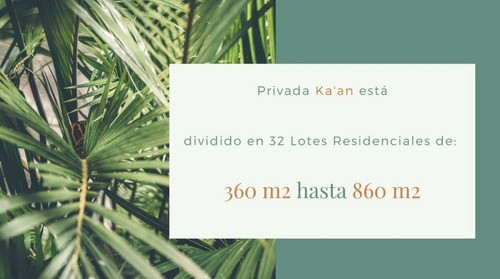 Imagen 11 de 16 de Privada Kaan Lotes Residenciales, Temozón Norte
