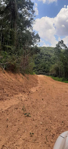 Imagem 9 de 14 de Terrenos Com Uma Linda Vista