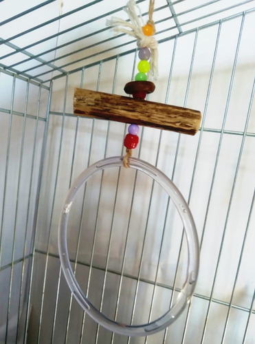 3 Brinquedos Calopsita Periquito Rede + Balanço + Pinha