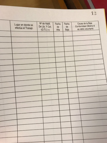 Libro Trabajo A Domicilio A 48 Paginas