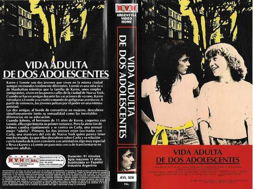 Vida Adulta De Dos Adolescentas Vhs Old Enough 1984