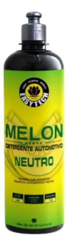 Kit Shampoo Automotivo Melon + Dress + Spotfree + Easytech