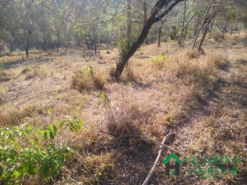 Imagem 4 de 9 de Terreno Com Lagoa Em Bom Jesus Do Amparo - 3020