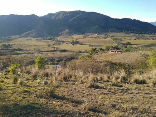 Imagen 19 de 23 de Rancho Las Buganvilias! Dream Opportunity!